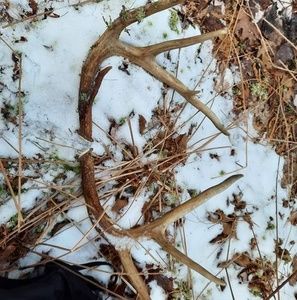 Meet your Posher, Jayden